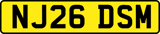 NJ26DSM