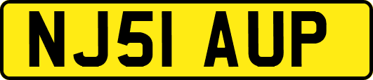 NJ51AUP