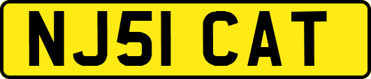 NJ51CAT