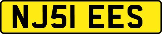 NJ51EES