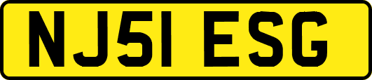 NJ51ESG