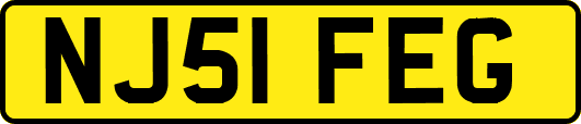 NJ51FEG