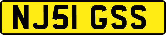 NJ51GSS