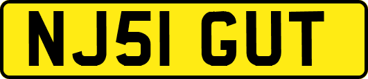 NJ51GUT