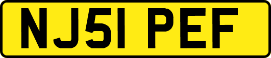 NJ51PEF