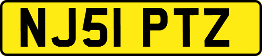 NJ51PTZ