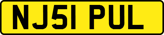 NJ51PUL