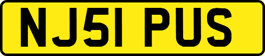 NJ51PUS