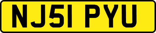 NJ51PYU