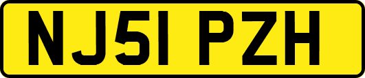 NJ51PZH