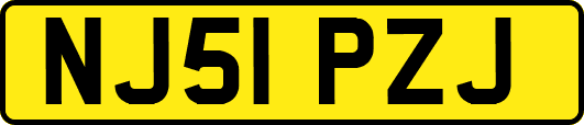 NJ51PZJ