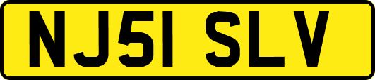 NJ51SLV