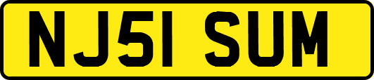 NJ51SUM