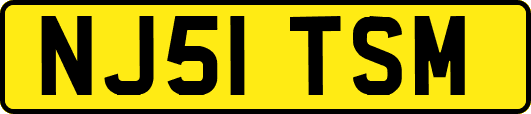 NJ51TSM