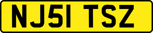 NJ51TSZ