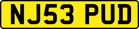 NJ53PUD