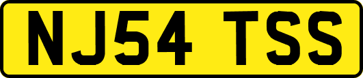 NJ54TSS
