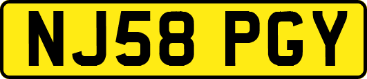 NJ58PGY