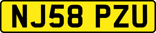 NJ58PZU
