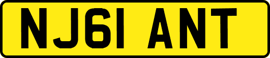 NJ61ANT