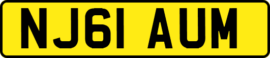 NJ61AUM