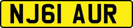 NJ61AUR