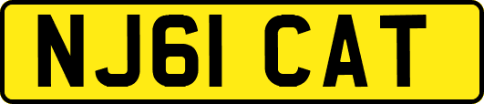 NJ61CAT