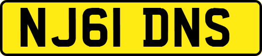 NJ61DNS