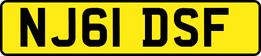NJ61DSF