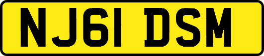 NJ61DSM