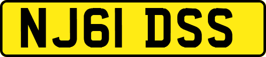 NJ61DSS