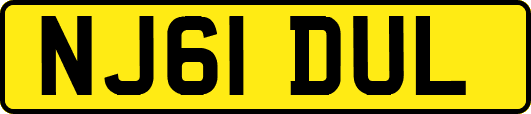 NJ61DUL
