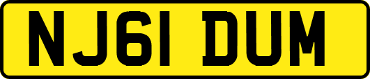NJ61DUM