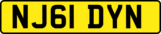 NJ61DYN