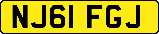 NJ61FGJ