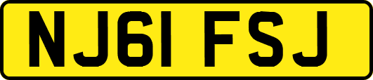 NJ61FSJ