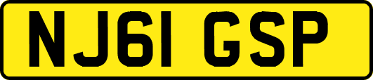 NJ61GSP
