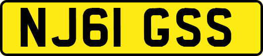 NJ61GSS
