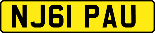 NJ61PAU