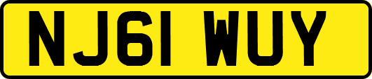 NJ61WUY