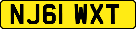 NJ61WXT