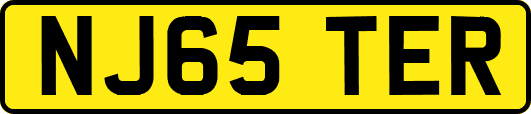 NJ65TER