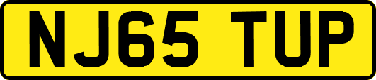 NJ65TUP