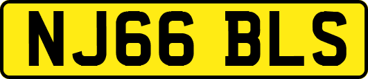 NJ66BLS