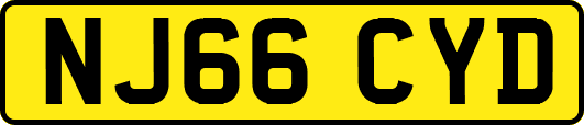 NJ66CYD