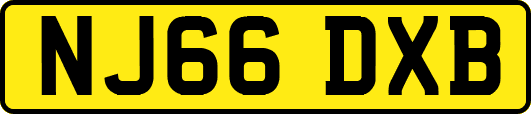 NJ66DXB