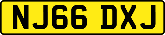 NJ66DXJ
