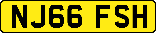NJ66FSH