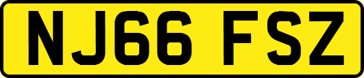 NJ66FSZ