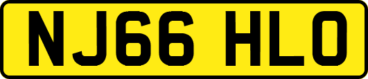 NJ66HLO